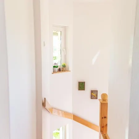 Vikendice Porodice Smiljanic Zlatibor