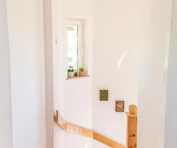 Vikendice Porodice Smiljanic 즐라티보