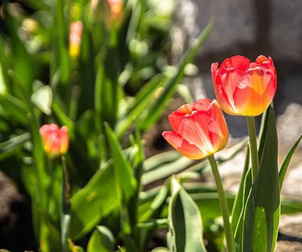 아파트 Vikendice Porodice Smiljanic *